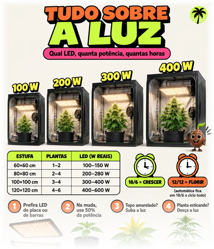 Página Tudo sobre a luz, com estufas lado a lado e a potência de LED de cada uma